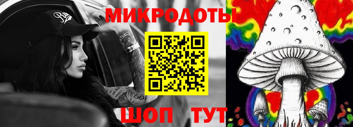 Галлюциногенные грибы Psilocybe Щёкино