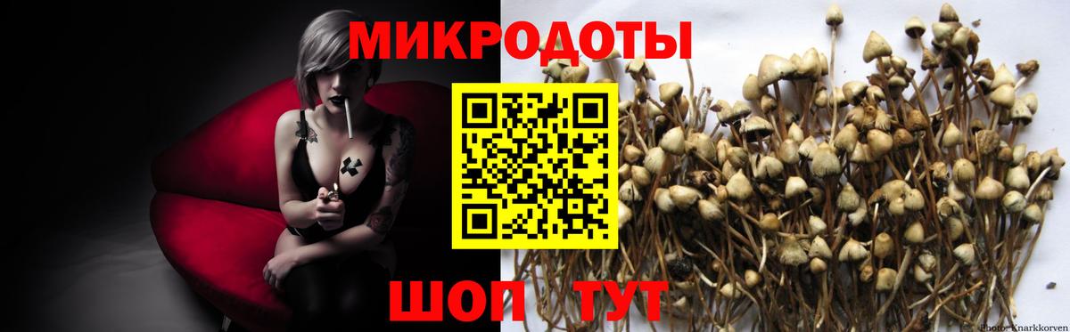 Псилоцибиновые грибы Psilocybine cubensis  Вход с VPN  Щёкино 