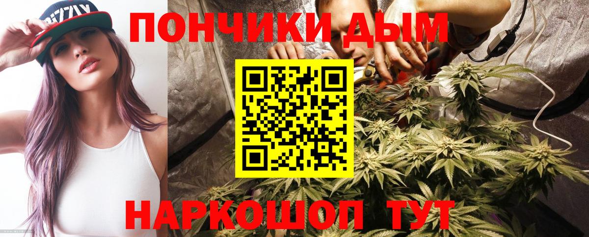 Щёкино  Бошки марихуана план  Канабис ГИДРОПОН  Вход с VPN 